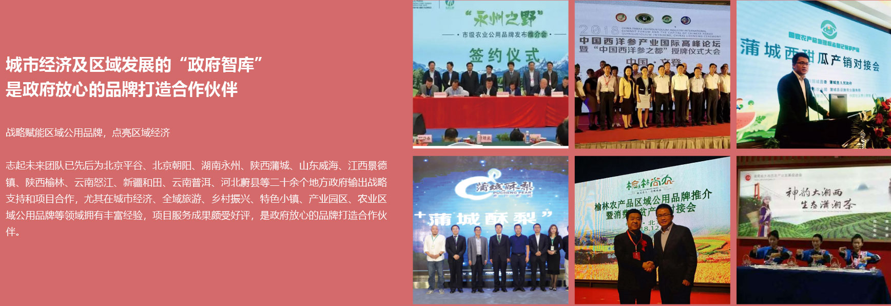 城市經(jīng)濟(jì)及區(qū)域發(fā)展的政府智庫(kù)區(qū)域公用品牌