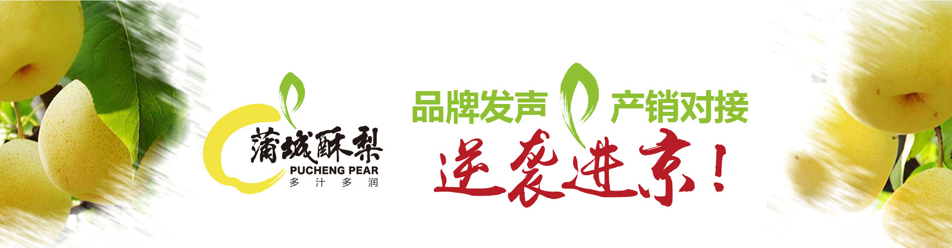 戰(zhàn)略賦能區(qū)域公用品牌，點(diǎn)亮區(qū)域經(jīng)濟(jì)