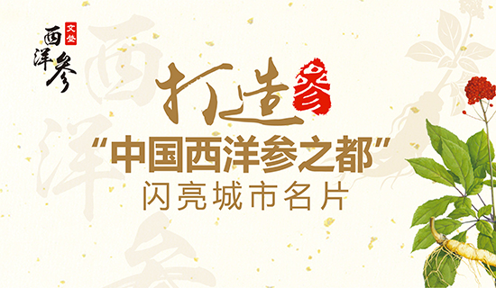 文登西洋參產(chǎn)業(yè)：打造“中國(guó)西洋參之都”閃亮城市名片！