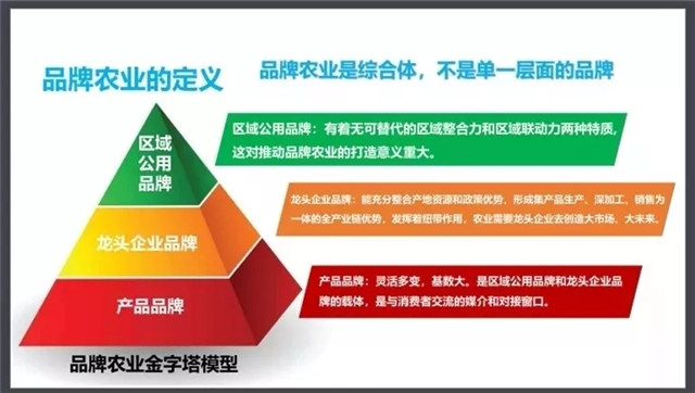 1553757258270748.jpg 1.jpg