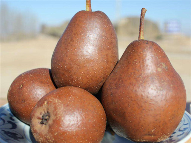 1553761721340096.jpg 1b9944ce-0c55-4dc2-8be7-8e8aa733f9c3.jpg