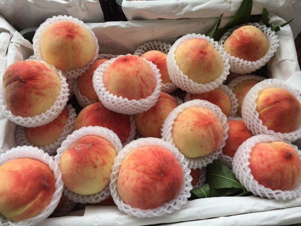 1618571032755257.jpg src=http___res.ny.ntv.cn_a_10001_2016_1129_1480403250279.jpg&refer=http___res.ny.ntv.jpg