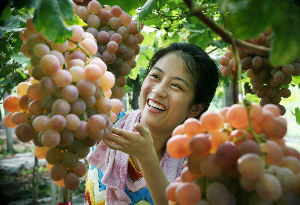 1618829536932099.jpg src=http___res.ny.ntv.cn_a.jpg