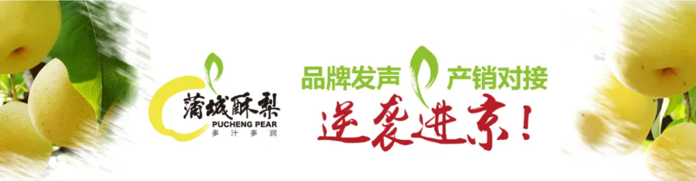 1635839146997479.png image.png