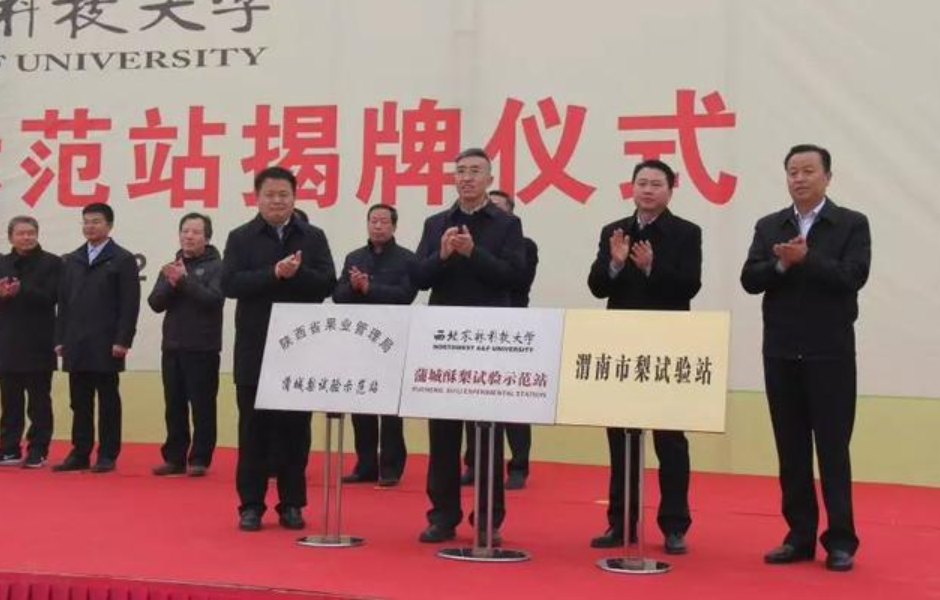 1638418373390292.png image.png